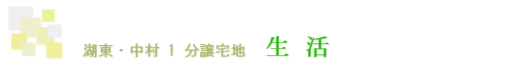 ΓE 1 nE